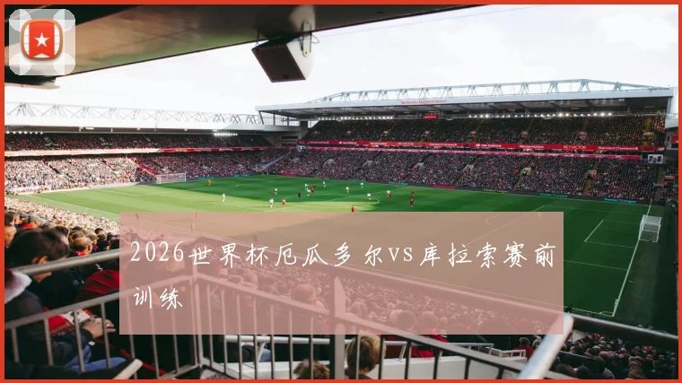 2026世界杯厄瓜多尔vs库拉索赛前训练