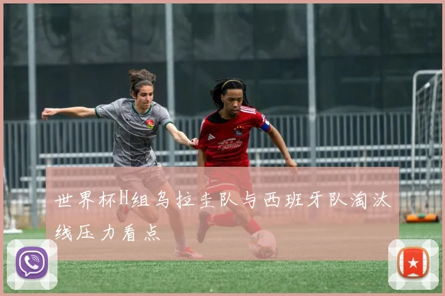 世界杯H组乌拉圭队与西班牙队淘汰线压力看点
