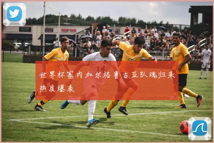 世界杯塞内加尔格鲁吉亚队魂归来热度爆表